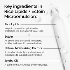 Rice Lipids + Ectoin Microemulsion